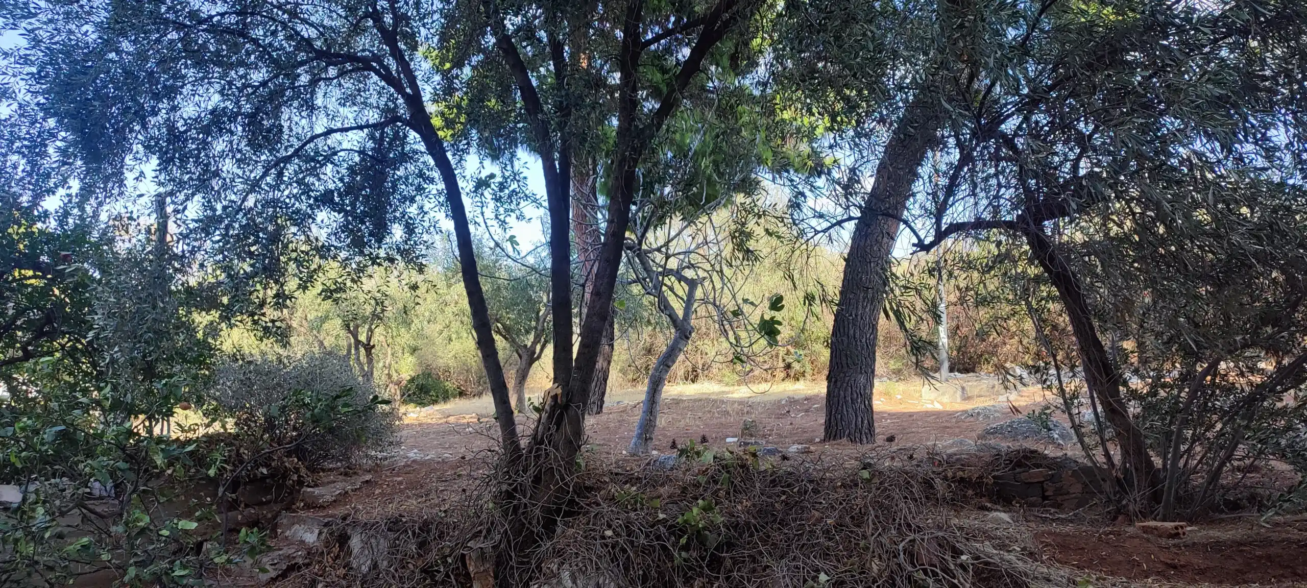 IMG_20250926_164316 Πολυτελές διαμέρισμα 140τ.μ. στον Άνω Παπάγο